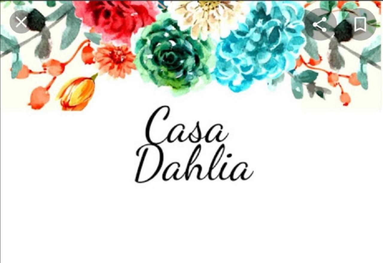 Casa Dahlia Queretaro别墅 外观 照片